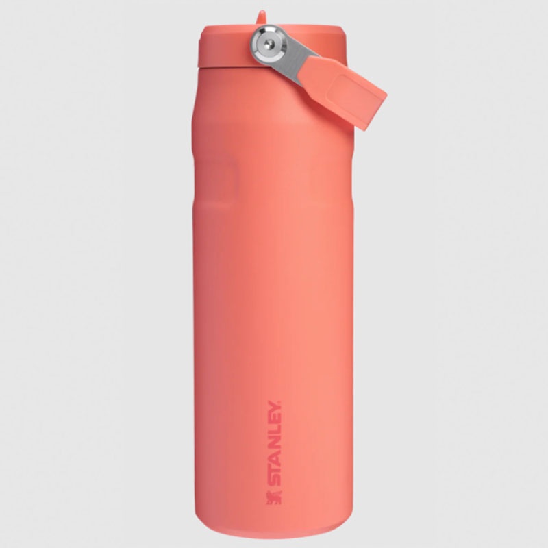 Beli Botol Minum Training Stanley Iceflw Aerolght Fstflw Wb Pucker Peach Original 1011283416