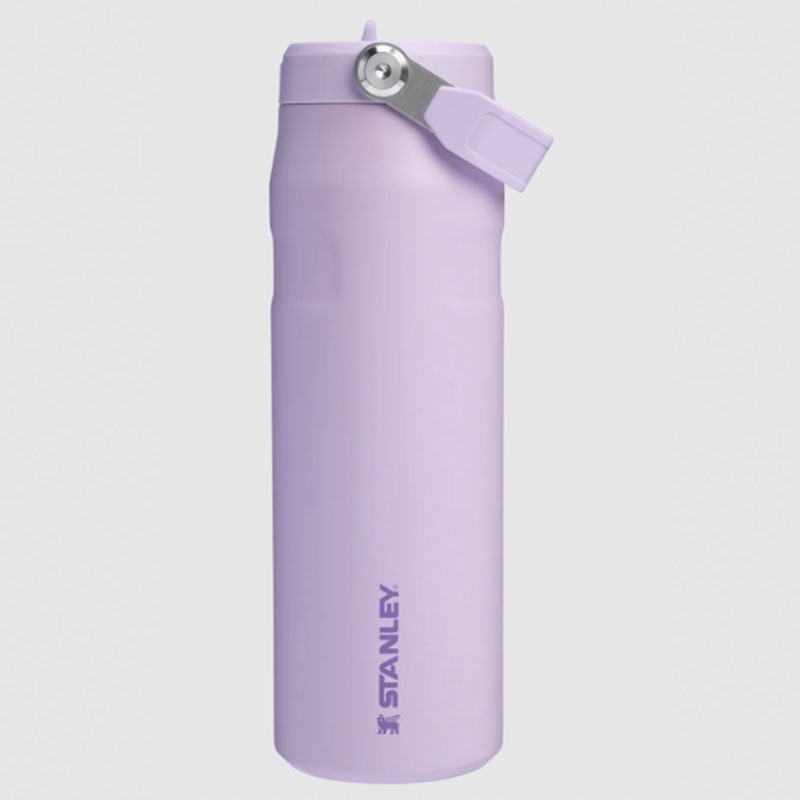 Beli Botol Minum Training Stanley Iceflw Aerolght Fstflw Wb Sour Grape Original 1011283418