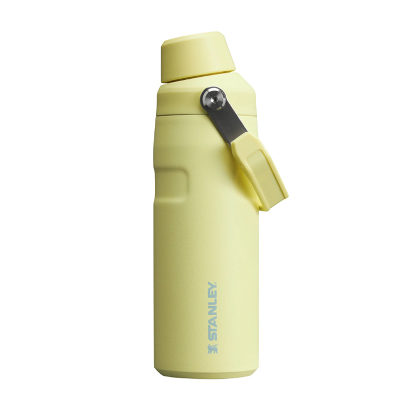 Beli Botol Minum Training Stanley The Iceflow Bottle With Flip Straw Lid 16 Oz Pomelo Original 1011286056