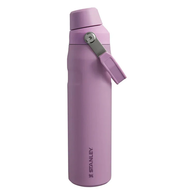 Beli Botol Minum Training Stanley The Iceflow Bottle With Flip Straw Lid 16 Oz Lilac Original 1011286120