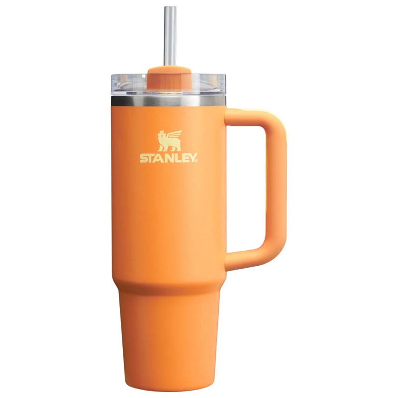Jual Botol Minum Training Stanley Qnchrh 2.0 Tumb 30 Oz Marigold Original 1011825284 - v3.ncrsport.com