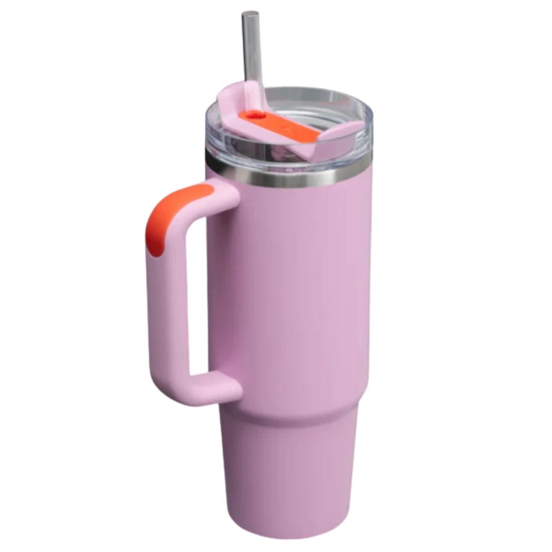 Jual Botol Minum Training Stanley Qnchrh 2.0 Tumb 30 Oz Amethysty Original 1011825285 - v3.ncrsport.com