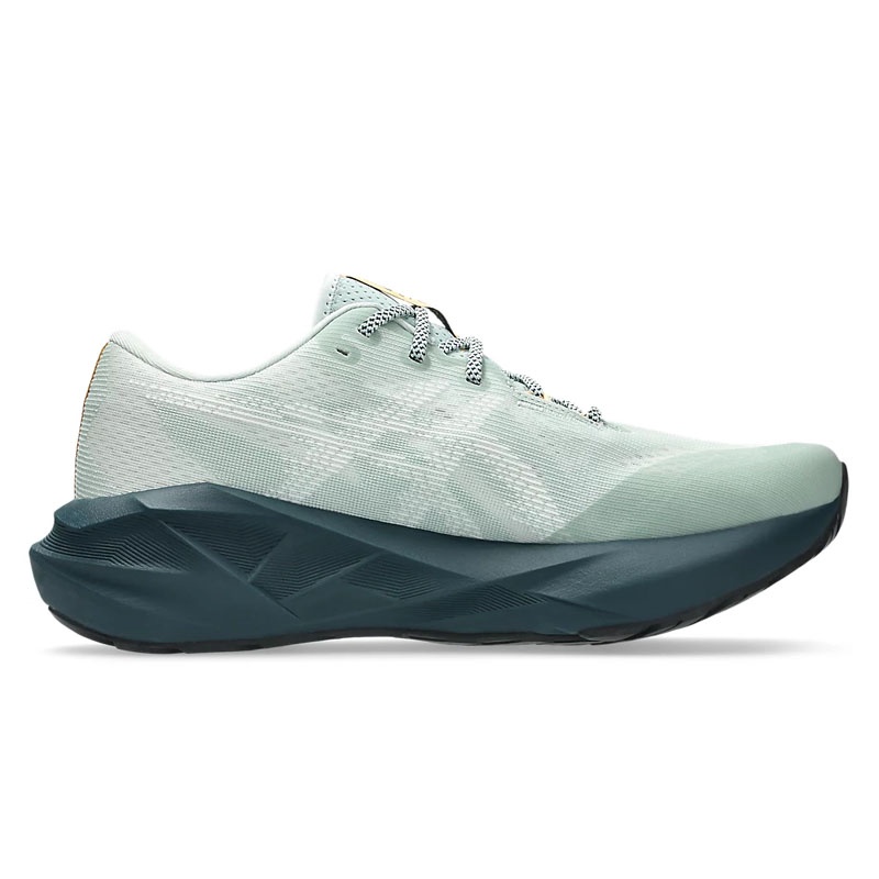Jual Sepatu Lari Asics Novablast 5 Tr Men Standard Nature Bathing Original 1011C138.300 - v3.ncrsport.com
