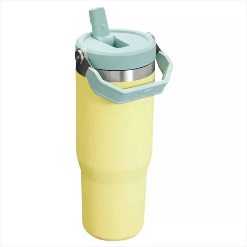 Jual Botol Minum Training Stanley The Iceflow Flip Straw Tumbler Oz Pomelo Original 1012043163 - v3.ncrsport.com