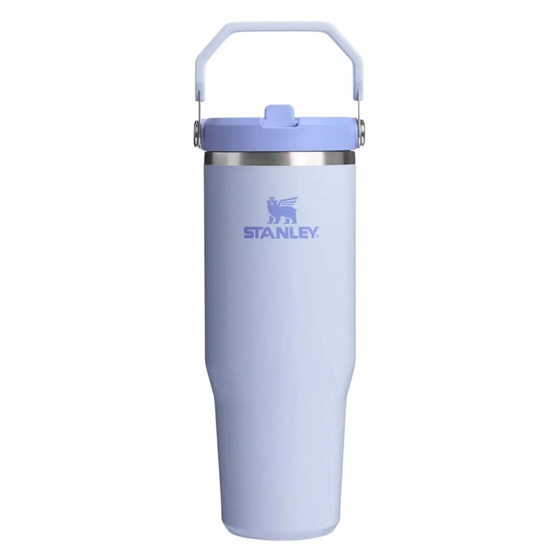 Beli Botol Minum Training Stanley The Iceflow Flip Straw Tumbler 30 Oz Dew Drop Original 1012043172