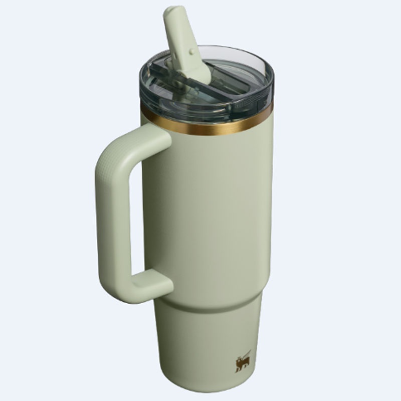 Jual Botol Minum Training Stanley Quencher Protour Tumb Juniper Original 10124850639 - v3.ncrsport.com