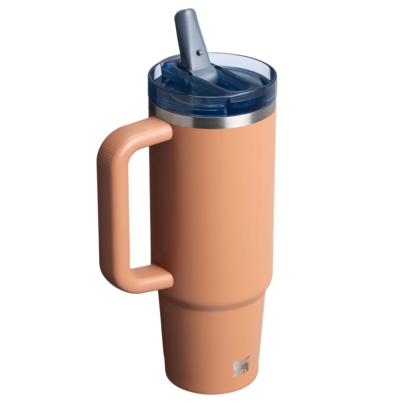 Jual Botol Minum Training Stanley Quencher Protour Tumb 30 Oz Toast Vrt Original 1012485238 - v3.ncrsport.com