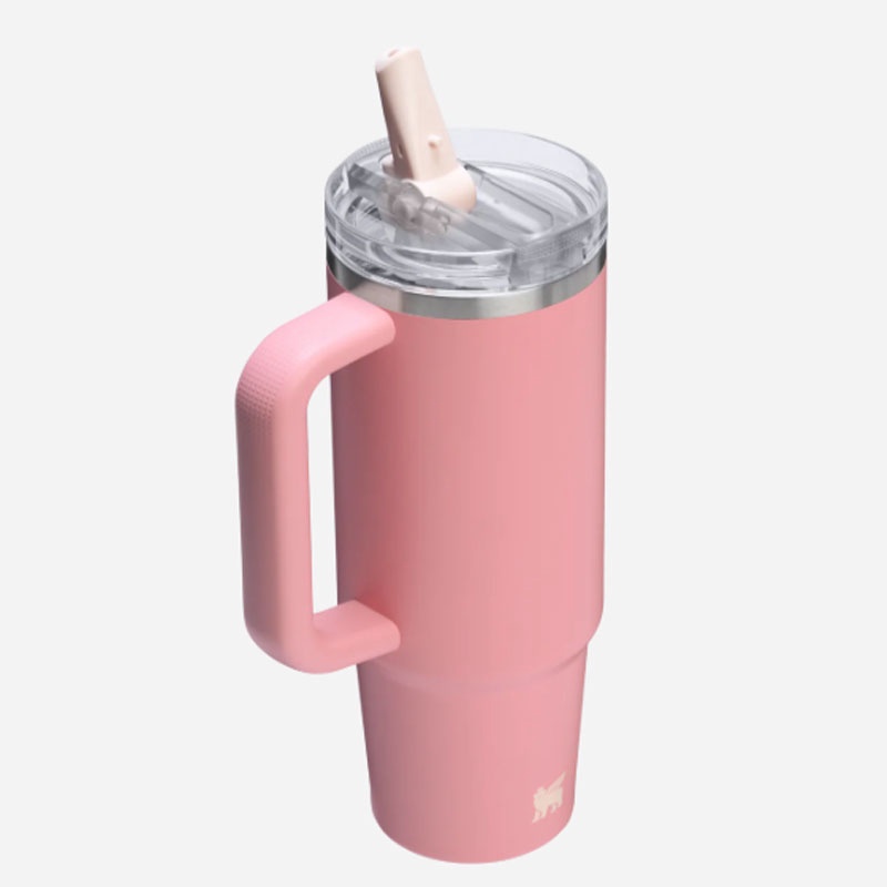 Jual Botol Minum Training Stanley Quencher Protour Tumb Pink Mesa Original 1012485381 - v3.ncrsport.com