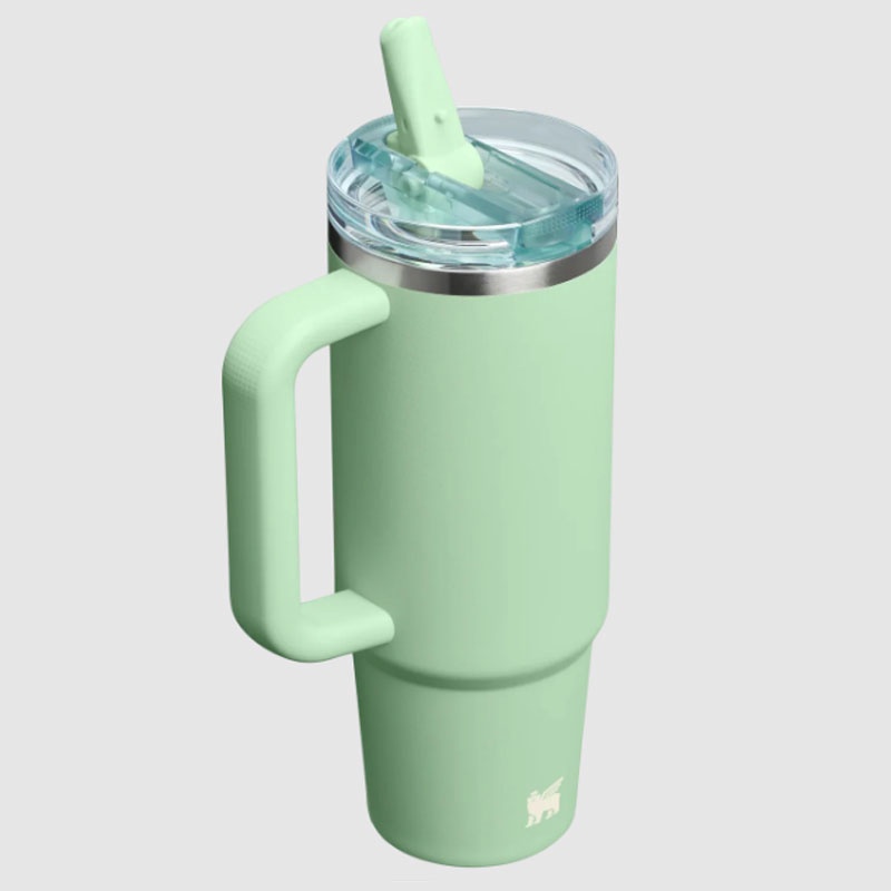 Jual Botol Minum Training Stanley Quencher Protour Tumb 30 Oz Pistachio Original 1012485399 - v3.ncrsport.com