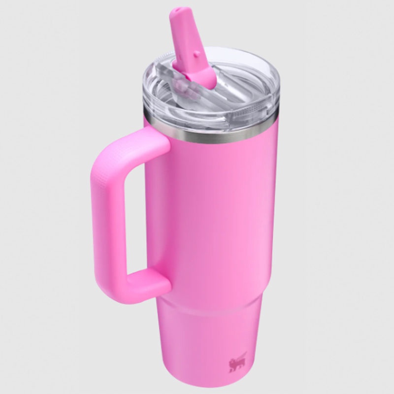 Jual Botol Minum Training Stanley Quencher Protour Tumb Popsicle Pink Original 1012485416 - v3.ncrsport.com