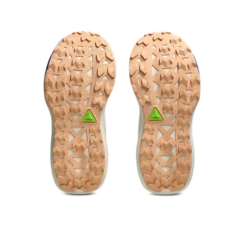 Jual Sepatu Trail Wanita Asics Wmns Trabuco Max 5 Amethyst-Black Original 1012B937.500 - v3.ncrsport.com