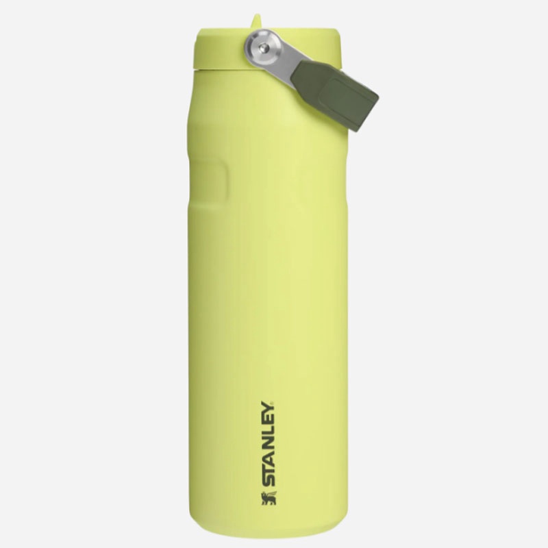 Beli Botol Minum Training Stanley Iceflw Aerolight Flpstrw Vac Wb Prickly Pear Original 1013072056