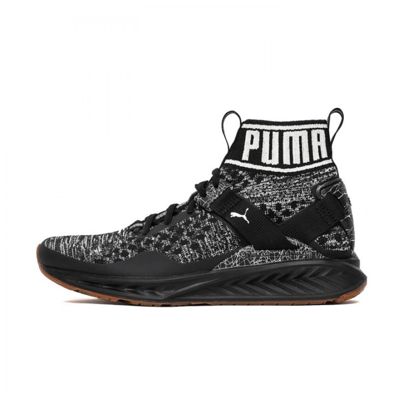 Jual Sepatu Sneakers Puma Ignite Evoknit Hypernature Black Original 190337-03 - v3.ncrsport.com