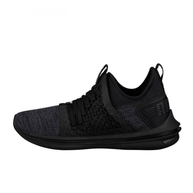 Jual Sepatu Lari Puma Ignite Flash Evoknit Netfit Black Original 190962-01 - v3.ncrsport.com