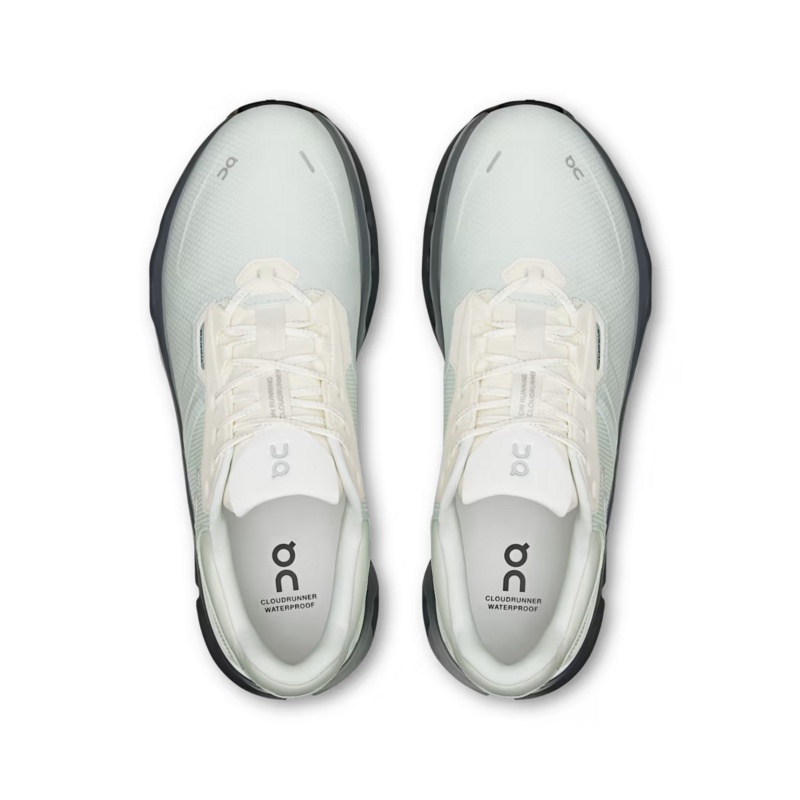 Jual Sepatu Lari On Cloudrunner 2 Waterproof Iceberg Original 3Me10155285 - v3.ncrsport.com