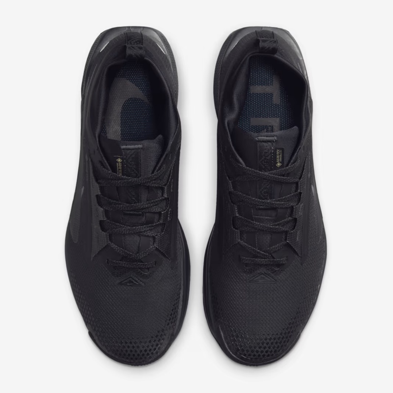 Jual Sepatu Trail Nike Pegasus Trail 5 Gore-Tex Black - Anthracite - Black Original Fq0908-002 - v3.ncrsport.com