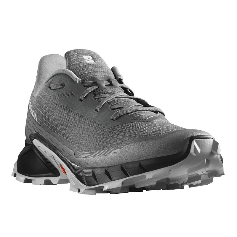 Jual Sepatu Trail Salomon Alphacross 5 Grey Original L47313300 - v3.ncrsport.com