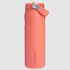 Beli Botol Minum Training Stanley The Iceflow Bottle With Flip Straw Lid 24 Oz Pucker Peach Original 1011283416