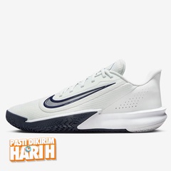 Beli Sepatu Basket Nike Precision Vii Photon Dust Original Hj9153-003